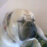 trudy2007