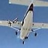 diverdan523
