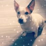 xtinkerbell3