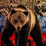 bear59