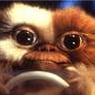 gizmo1907