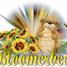 bloomerbear