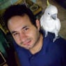 didothebest