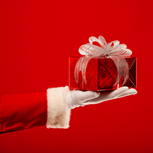 Give a special Christmas gift: VIP membership for a friend! 🎁 image