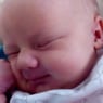ladybird86