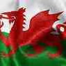 welshnickki