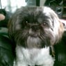 tizzy2007
