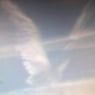 ANGELWINGSx