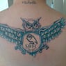 owls4eva