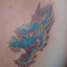 camdragon59