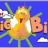 bigbird35