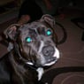 sammarie2008