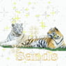sands2007