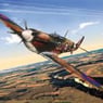 LLawnroc