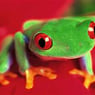 apriled