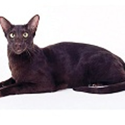 image of Ethel60