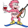 midnattsola