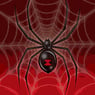spidey