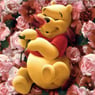 pooh1961