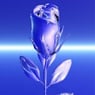 wever