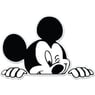 mickyhouse