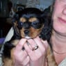 kerrie