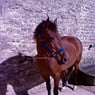 becki198424