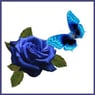 Rosebud1979