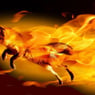 firefox