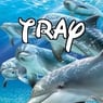 xtrayx