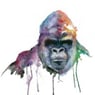 Silverback