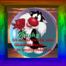 kater2703