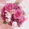 egflower