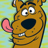 MONKIEDOO5