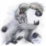 yeti66