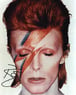 ziggy