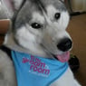 poohbear36