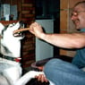 huskynorman