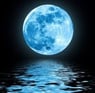 blueknight