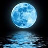 blueknight