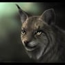 Lynx