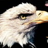 EagleSpy