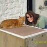 mistycat
