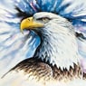 BlackEagle63
