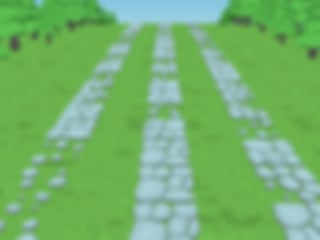 Robin Run background