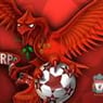 LfcHaydn