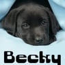 becksnco