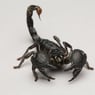GladiusGoricus