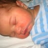 fifi2001
