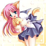 ilovecats3